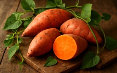 sweet potato is root or stem: uncovering the truth about this versatile tuber.