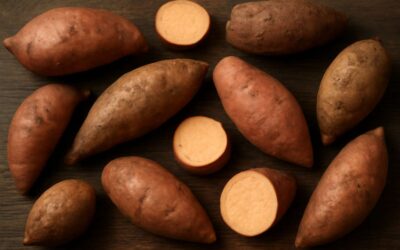 yam vs sweet potato: Which tuber wins for flavor, nutrition, and prep?